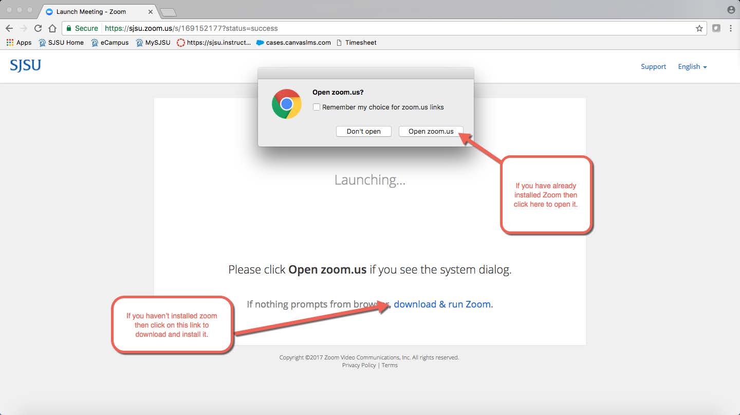 download and run Zoom panel